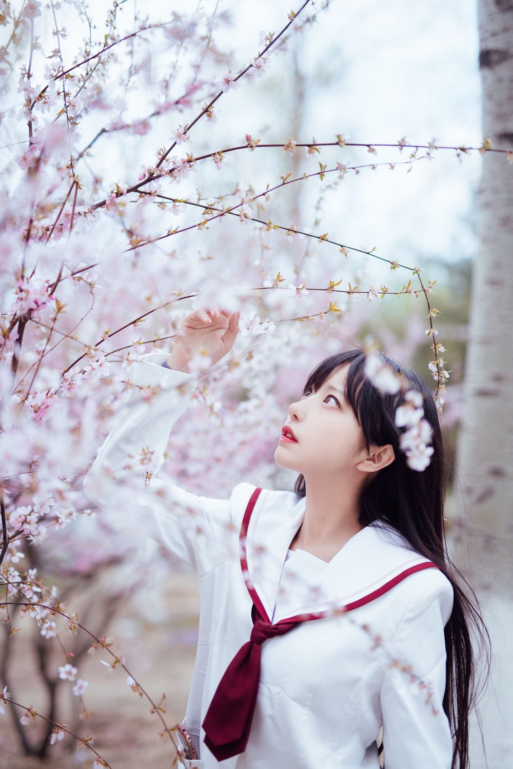 图片[2]-No.030-樱花 [13P]