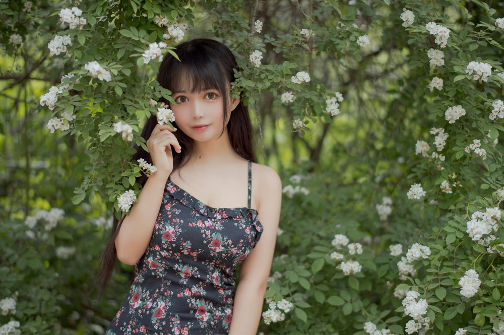 图片[3]-No.022-蔷薇1 [22P]