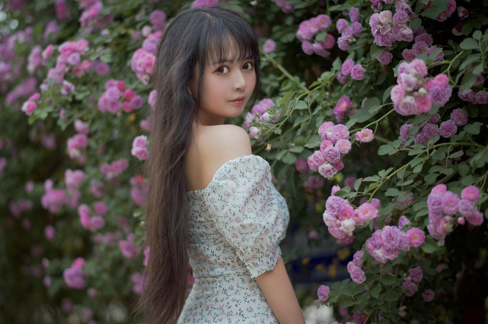 图片[2]-No.023-蔷薇2 [27P]