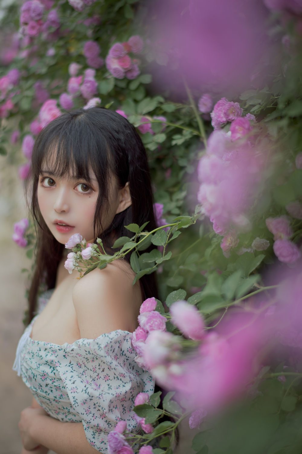 图片[3]-No.023-蔷薇2 [27P]