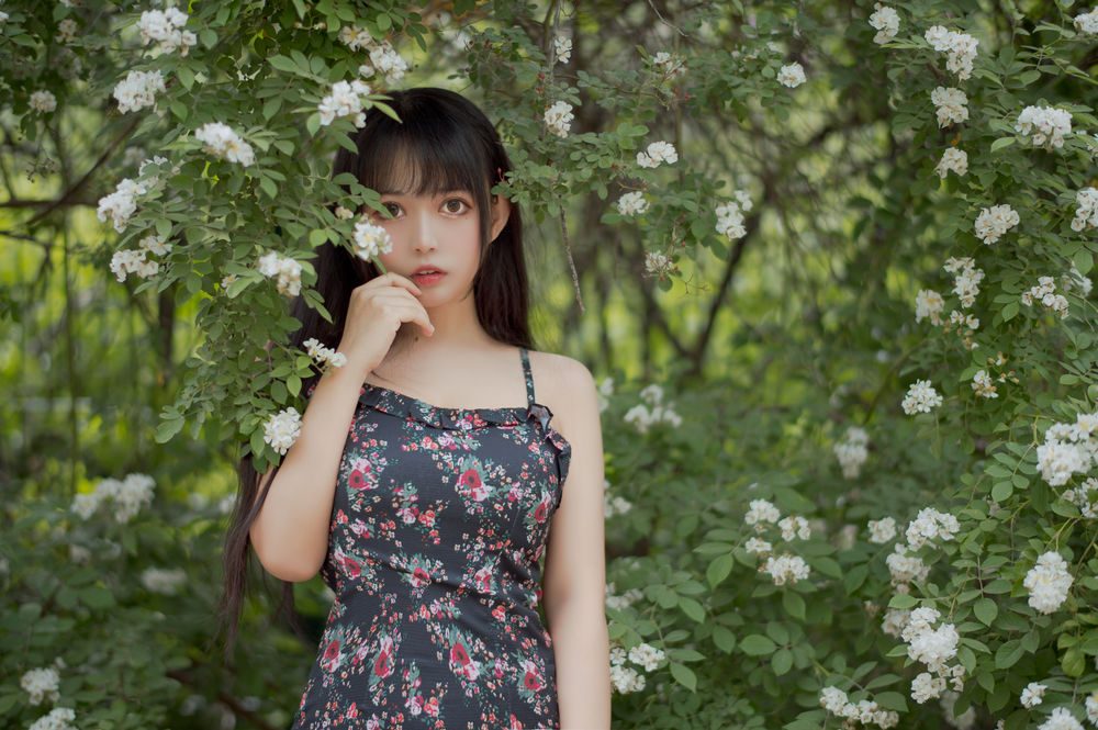 图片[2]-No.022-蔷薇1 [22P]