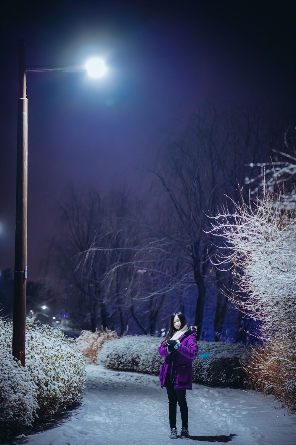 图片[2]-No.012-Lacerta Photography [101P]