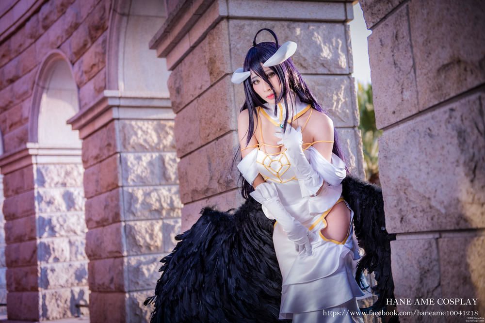 图片[3]-No.032-Overlord Albedo [16P]