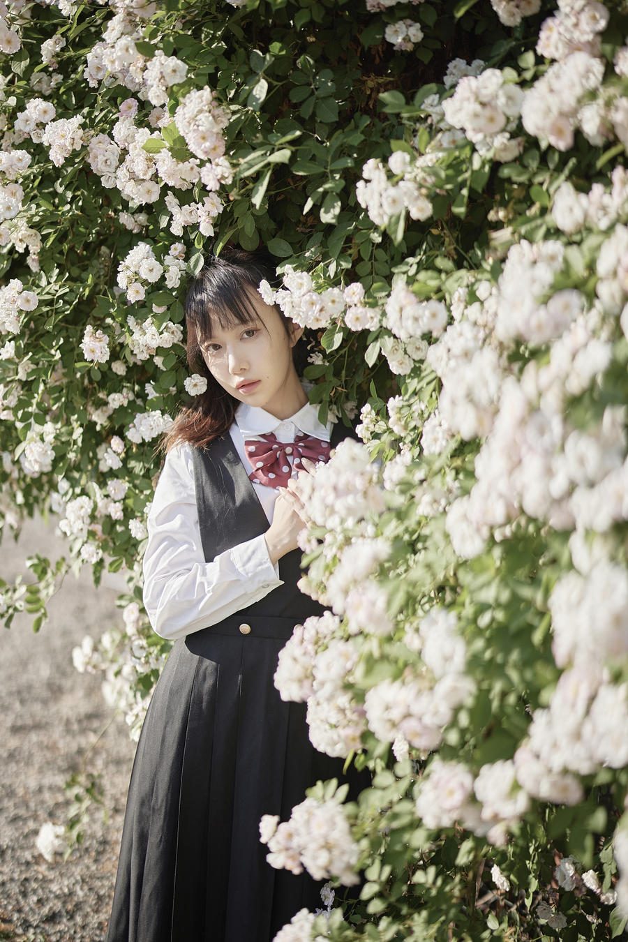 图片[2]-No.085-蔷薇JK [14P]
