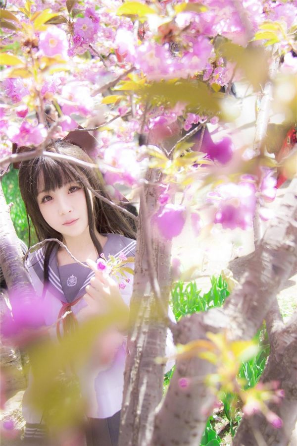 No.007-樱花记 毕业祭 [16P]-慕色阁