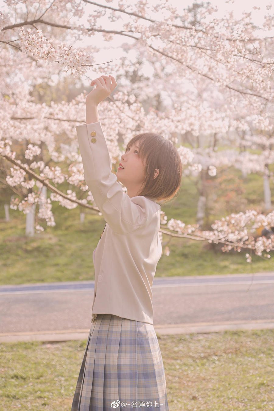 图片[3]-No.003-樱花 [14P]
