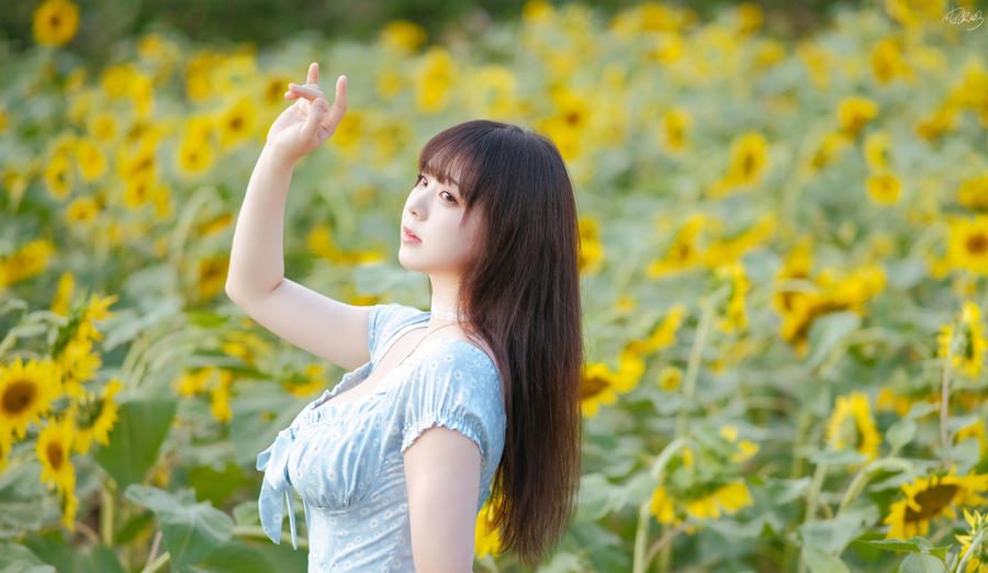 图片[2]-No.055 – 彼女向日葵 [35P]