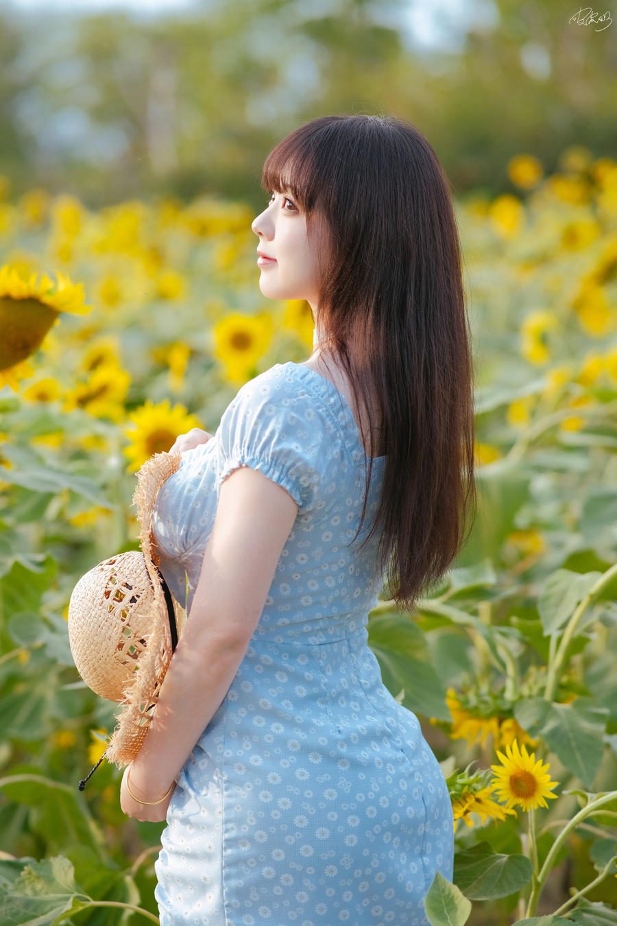 图片[3]-No.055 – 彼女向日葵 [35P]