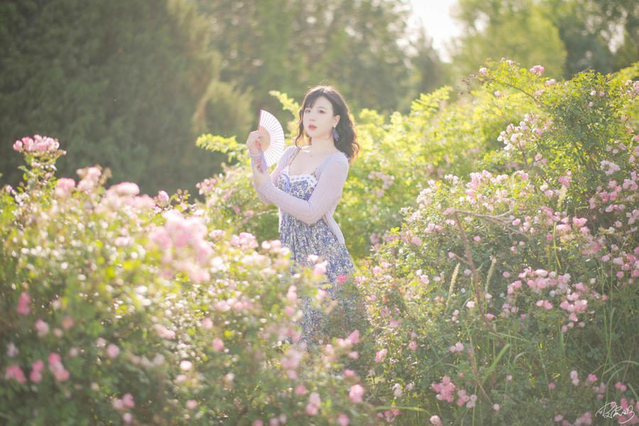 图片[2]-No.062 – 蔷薇花 [37P]