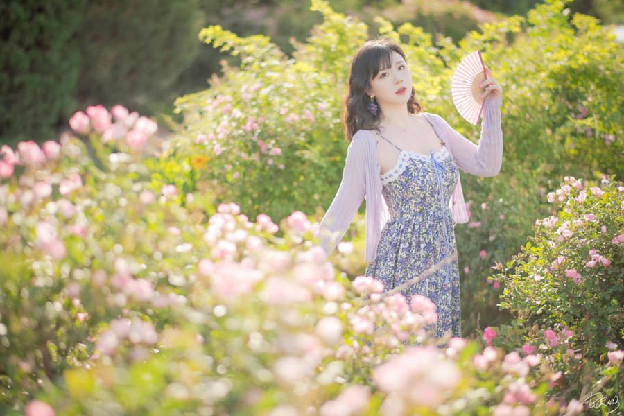 图片[3]-No.062 – 蔷薇花 [37P]
