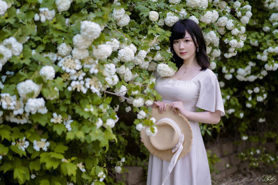 图片[2]-No.067 – 绣球花 [36P]