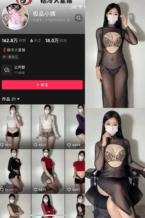 抖音 极品小姨 微密圈  NO.017期 【6P】最新至：2025.4.5-慕色阁