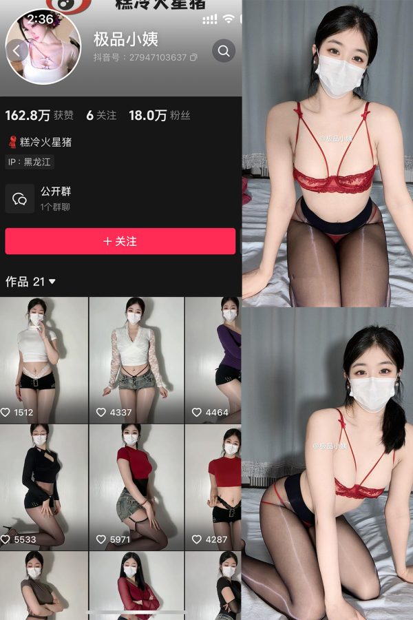 抖音 极品小姨 微密圈  NO.015期 【12P】最新至：2025.3.19-慕色阁
