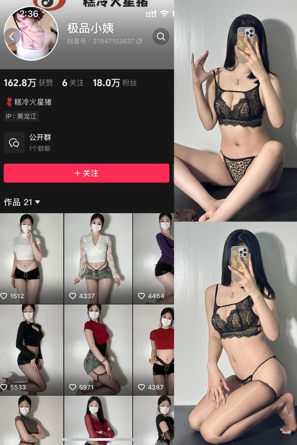 抖音 极品小姨 微密圈  NO.011期 【65P】-慕色阁